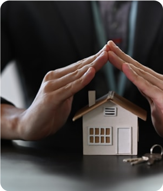 Insurance Consultant