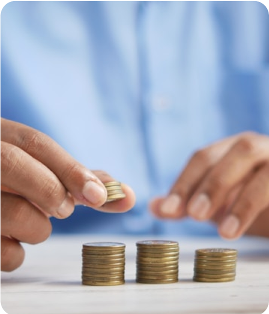Loan Adviser