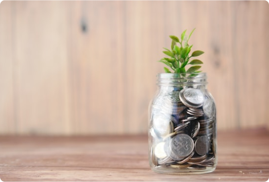 Mutual Fund